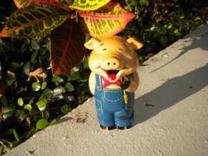 piggy7-14-13 010